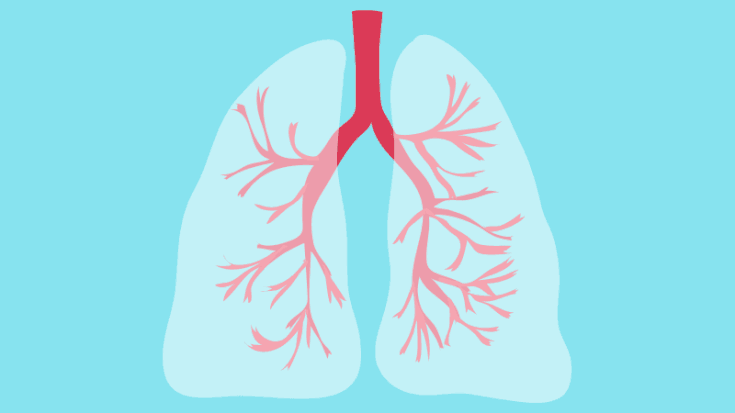 Asthma and COPD Resources | Pharmacy Association of Nova Scotia